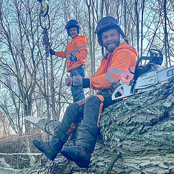 Tree felling services North East