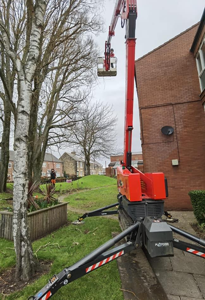 Cherry Picker (MEWP) being used to prune large trees